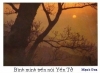 Filename=yen-tu_03.jpg
Filesize=17KiB
Dimensions=303x224
Date added=Dec 07, 2006 yen-tu_03.jpg