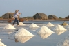 Filename=vietnam_salt.jpg
Filesize=70KiB
Dimensions=450x300
Date added=Dec 07, 2006 vietnam_salt.jpg